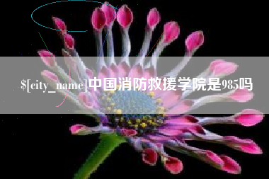 淮南中国消防救援学院是985吗