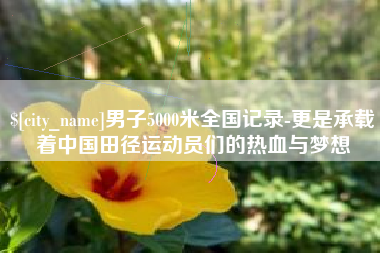 淮南男子5000米全国记录-更是承载着中国田径运动员们的热血与梦想