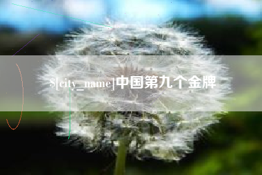 淮南中国第九个金牌