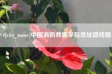 淮南中国消防救援学院地址路线图