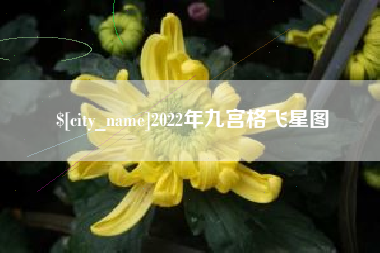 淮南2022年九宫格飞星图