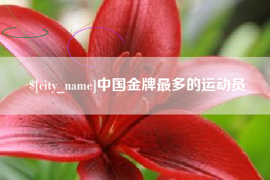 淮南中国金牌最多的运动员