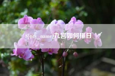淮南九宫如何排日