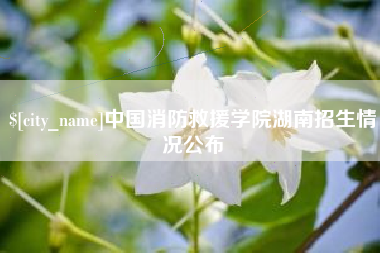 淮南中国消防救援学院湖南招生情况公布