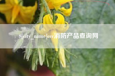 淮南ccc消防产品查询网