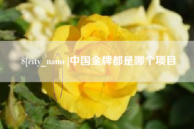 淮南中国金牌都是哪个项目