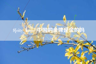 淮南中国的金牌是金的吗