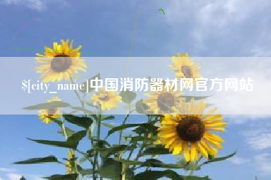 淮南中国消防器材网官方网站