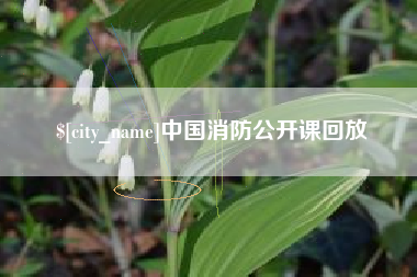 淮南中国消防公开课回放
