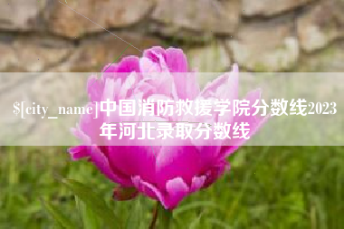 淮南中国消防救援学院分数线2023年河北录取分数线