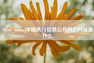 淮南中国执行信息公开网的网址是什么