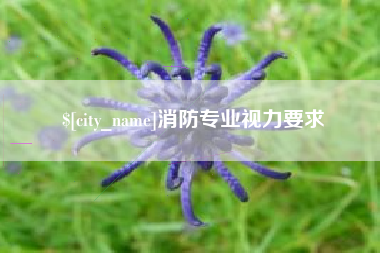 淮南消防专业视力要求