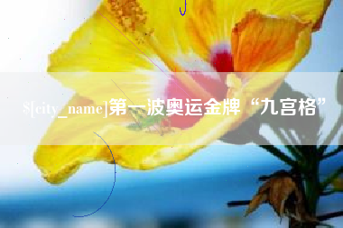 淮南第一波奥运金牌“九宫格”