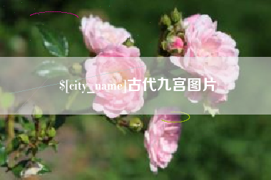 淮南古代九宫图片