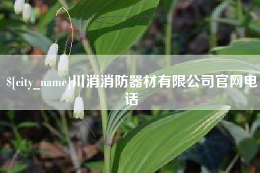淮南川消消防器材有限公司官网电话