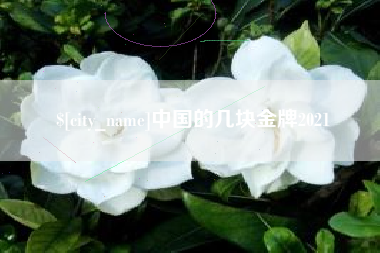 淮南中国的几块金牌2021