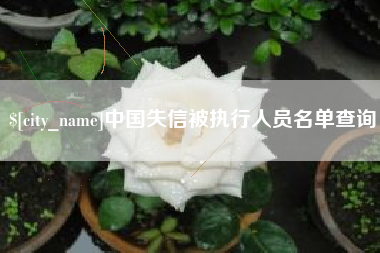 淮南中国失信被执行人员名单查询