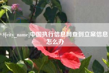 淮南中国执行信息网查到立案信息怎么办