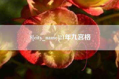 淮南21年九宫格