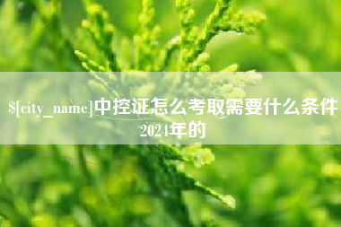 淮南中控证怎么考取需要什么条件2024年的