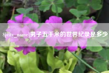 淮南男子五千米的世界纪录是多少