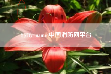 淮南中国消防网平台