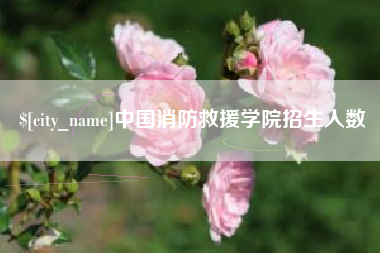 淮南中国消防救援学院招生人数