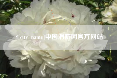 淮南中国消防网官方网站