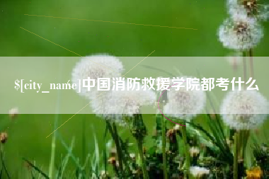 淮南中国消防救援学院都考什么