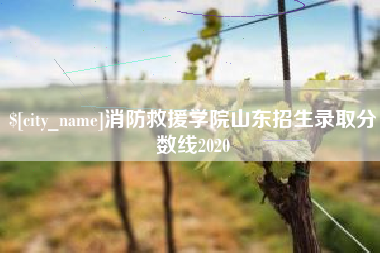 淮南消防救援学院山东招生录取分数线2020