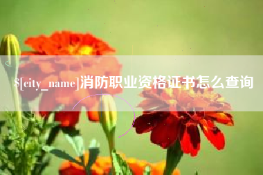 淮南消防职业资格证书怎么查询