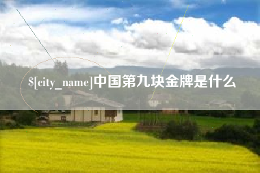 淮南中国第九块金牌是什么