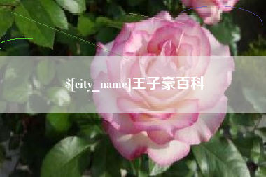 淮南王子豪百科