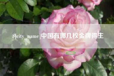 淮南中国有哪几枚金牌得主