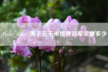 淮南男子五千米世界冠军奖金多少