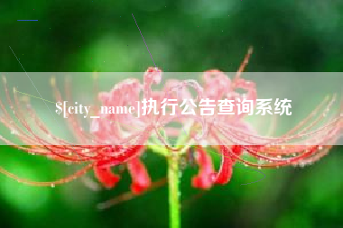 淮南执行公告查询系统