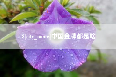 淮南中国金牌都是啥