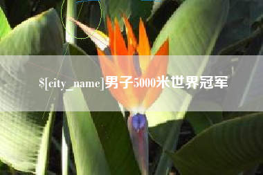淮南男子5000米世界冠军