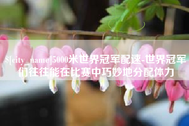 淮南5000米世界冠军配速-世界冠军们往往能在比赛中巧妙地分配体力