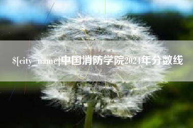 淮南中国消防学院2024年分数线