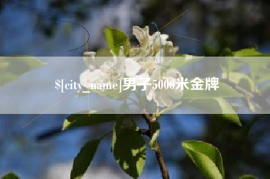 淮南男子5000米金牌
