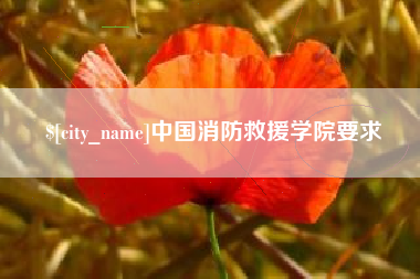 淮南中国消防救援学院要求