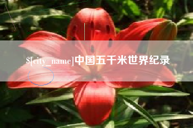 淮南中国五千米世界纪录