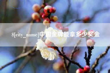 淮南中国金牌能拿多少奖金