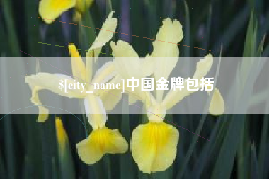 淮南中国金牌包括