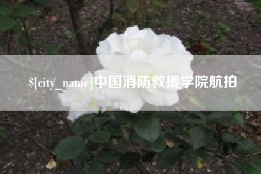 淮南中国消防救援学院航拍