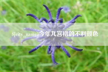 淮南今年九宫格的不利颜色