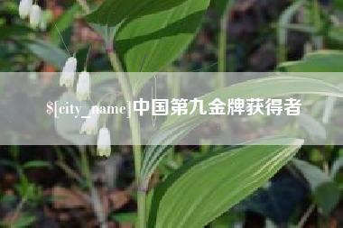淮南中国第九金牌获得者