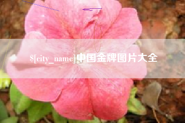 淮南中国金牌图片大全