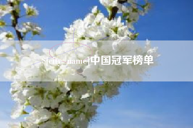 淮南中国冠军榜单